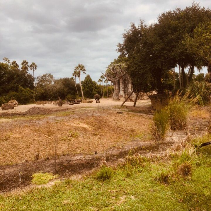 Profile Picture of JR (@joeyrud) on Tiktok