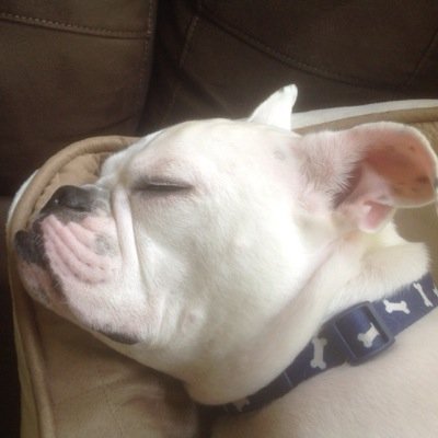 Profile Picture of Brian Lisle (@bdl12363) on Twitter