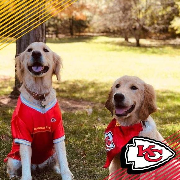 Profile Picture of Lisa Siebert-hagley (@lshagley) on Poshmark