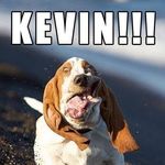 Kevin Gipple - Instagram Profile Picture of Kevin Gipple (@kevingipple) on Instagram