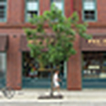 Profile Picture of Blake Roberts (@downtownsplus) on Flickr