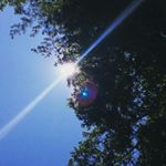 Profile Picture of evan h., and jack c. (@evan_jack__) on Instagram