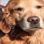 Profile Picture of clarissa harmon (@clarissaharmon8) on Instagram