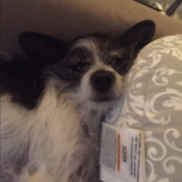 Profile Picture of Laura Willey (@laura_willey) on Poshmark