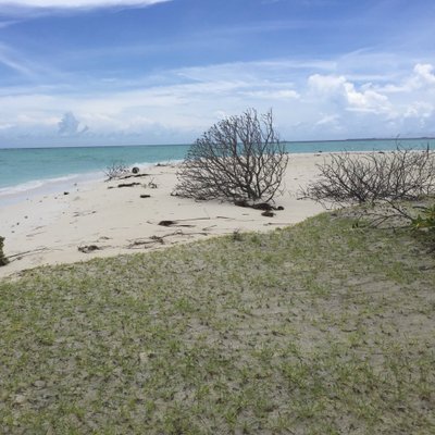 Ahmedshakir - Twitter Profile Picture of Ahmedshakir (@ahmedshakir777) on Twitter