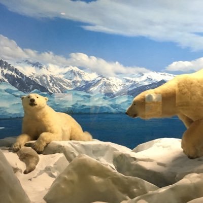 Profile Picture of KevinQin (@KevinQin14) on Twitter