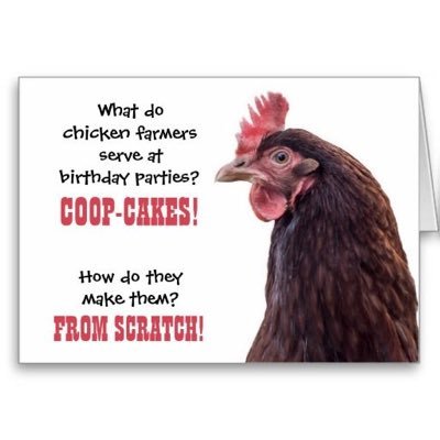 Profile Picture of Tammy Pipkin (@Tammy53733696) on Twitter