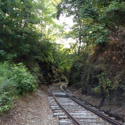 Profile Picture of Jason Bittner (@bittner737) on Twitter