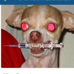 Profile Picture of Amanda Eklund (@porryhatter) on Instagram