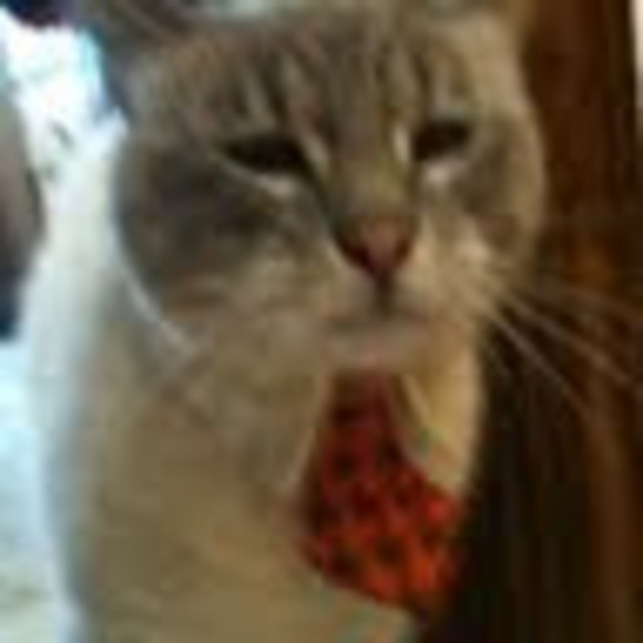 Carmen Broadbent - Poshmark Profile Picture of Carmen Broadbent (@carmenksmith) on Poshmark