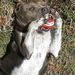 Profile Picture of Cindy Mackey (@cmmackey) on Pinterest