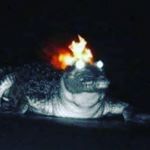 Profile Picture of Nathan Bronson (@themyth982) on Instagram