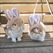 Profile Picture of Stanford Hill (@StanfordHill-j7z) on Youtube