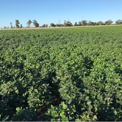 Profile Picture of Damien Scanlan (@DamScanlan) on Twitter