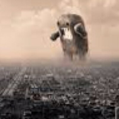 Profile Picture of Dale Harker (@harker_dale) on Twitter