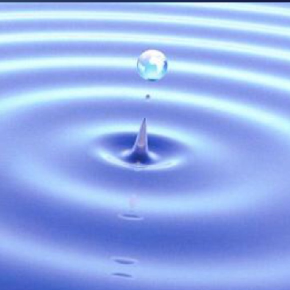 Dongming Li - Poshmark Profile Picture of Dongming Li (@kevin112233) on Poshmark