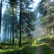 Profile Picture of Seth Farber (@sethfarber2563) on Youtube