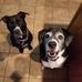 Profile Picture of Kimberly Schrader Timbrook (@kimberly.timbrook.5) on Facebook