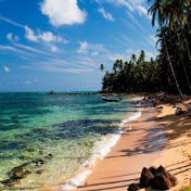 Profile Picture of Paul Walls (@paulwalls119) on Youtube