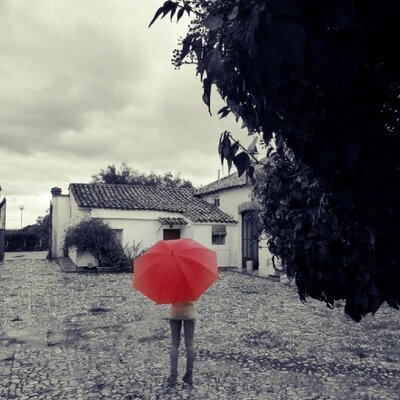 Profile Picture of Guadalupe Romero (@PupeRomero) on Twitter