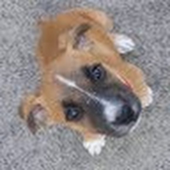 Paola Kovacic - Poshmark Profile Picture of Paola Kovacic (@pkovac) on Poshmark