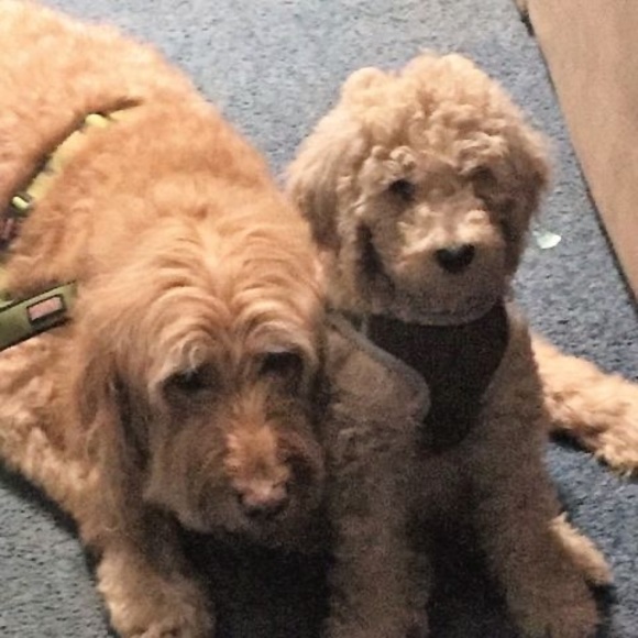 Profile Picture of Christine Gabler (@christinegabler) on Poshmark