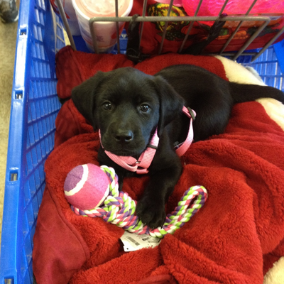 Profile Picture of Mark Gann (@MarkGann6) on Twitter