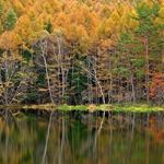 Profile Picture of Thomasina Varney (@thomasinavarney) on Instagram