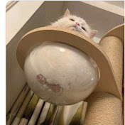 Profile Picture of Jesse Hawk (@lozg4andfallengames307) on Youtube