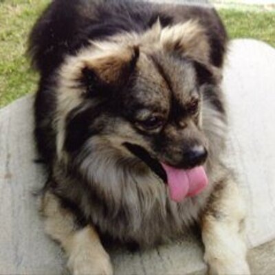 Profile Picture of Clare Liu (@LiuClareliu2013) on Twitter