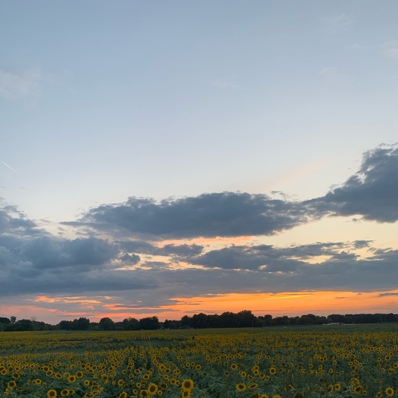 Profile Picture of Mitchell Lee (@mitchelllee12) on Poshmark