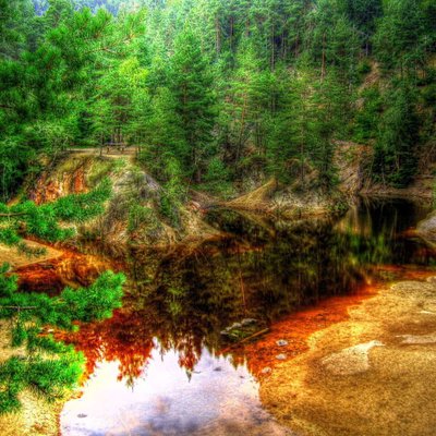 Profile Picture of Peter Moreno (@petermoreno640) on Twitter