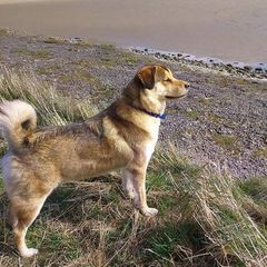 Profile Picture of Jason Plows (@jason.plows) on Tiktok