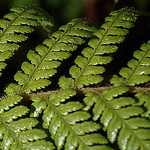 Profile Picture of Eric Dr. Bauer (@Dr. Eric Bauer) on Flickr