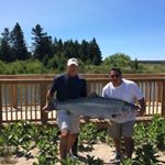 Profile Picture of Paul Bartman (@bartmart9) on Instagram