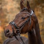 Profile Picture of Robert Basel (@basel.robert) on Instagram
