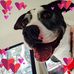 Profile Picture of Gail Massey (@gail.massey.353) on Facebook