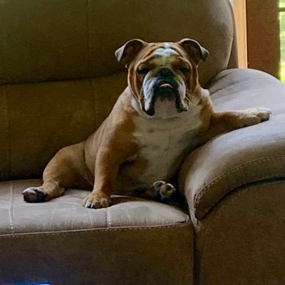Profile Picture of Tim Fultz (@tfultz71) on Twitter