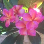 Profile Picture of Ian Gardiner (@ian.gardiner.5680) on Facebook