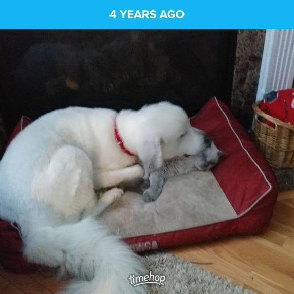 Profile Picture of Ann Laskowski (@annlaskowski) on Poshmark