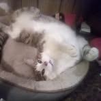 Bev Squibb - Facebook Profile Picture of Bev Squibb (@Bev-Squibb) on Facebook