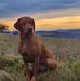 Profile Picture of Lee Spademan (@lee.spademan) on Facebook