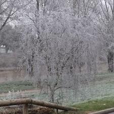 Profile Picture of Bob Durden (@acinetos) on Twitter