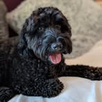 Profile Picture of Jean Gleghorn (@jean.gleghorn) on Facebook