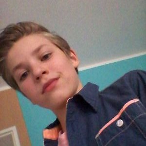 Profile Picture of Der Josh (@SchafScharf) on Twitter