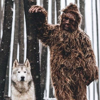 Profile Picture of Matt Bishop (@TeeProk) on Twitter