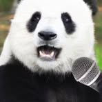 Profile Picture of Peter Higbie (@peter.higbie.33) on Facebook