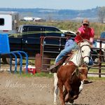 Profile Picture of Justin Swartz (@bullridergoing490) on Instagram