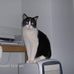 Profile Picture of Margaret Gail Dustak Barry (Dustak) (@margaret.barry.334) on Facebook