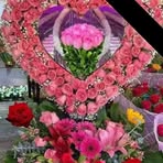 Profile Picture of Yudy Diaz (@Yudy-Diaz) on Facebook